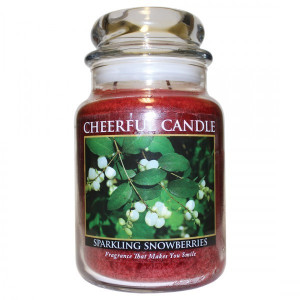 Cheerful Candle Sparkling Snowberries 2-Docht-Kerze 680g