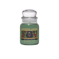 Cheerful Candle Welcome Wreath 1-Docht-Kerze 170g