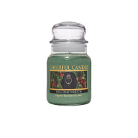 Welcome Wreath 1-Docht-Kerze 170g