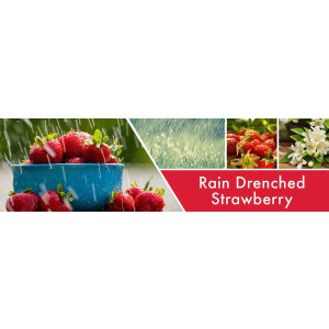 Goose Creek Candle® Rain Drenched Strawberry™ 2-Docht-Kerze 680g