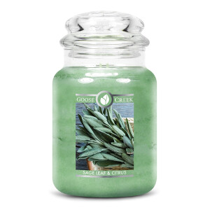 Goose Creek Candle® Sage Leaf & Citrus 2-Docht-Kerze 680g