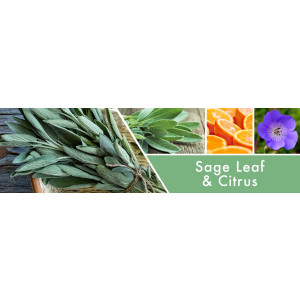 Goose Creek Candle® Sage Leaf & Citrus...