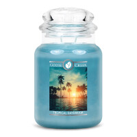 Tropical Daydream 2-Docht-Kerze 680g