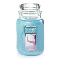 Yankee Candle® Catching Rays Großes Glas 623g