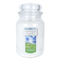 Yankee Candle® Edelweiss™ Großes Glas 623g
