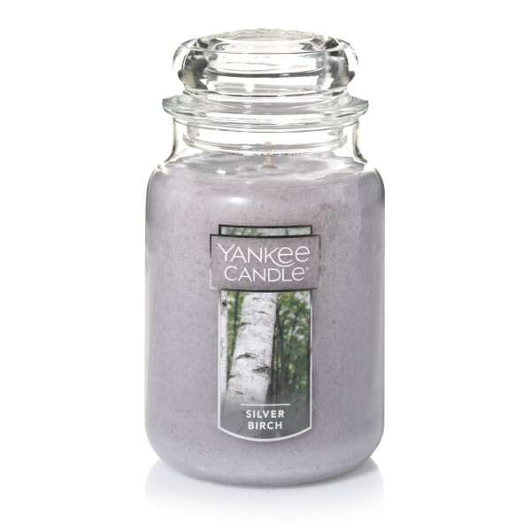 Yankee Candle® Silver Birch Großes Glas 623g