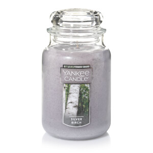 Silver Birch Großes Glas 623g