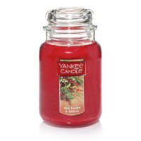 Yankee Candle® Red Berry & Cedar Großes Glas 623g