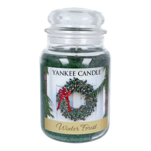 Yankee Candle® Winter Forest Großes Glas 623g