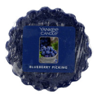 Yankee Candle® Blueberry Picking Wachsmelt 22g
