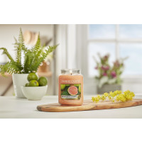 Yankee Candle® Delicious Guava Großes Glas 623g