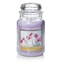 Yankee Candle® Honey Blossom Großes Glas 623g