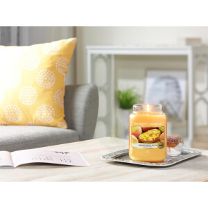 Mango Peach Salsa Großes Glas 623g