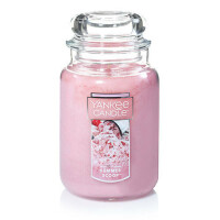 Yankee Candle® Summer Scoop Großes Glas 623g