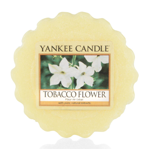 Yankee Candle® Tobacco Flower Wachsmelt 22g