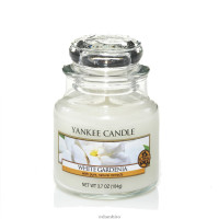 Yankee Candle® White Gardenia Kleines Glas 104g