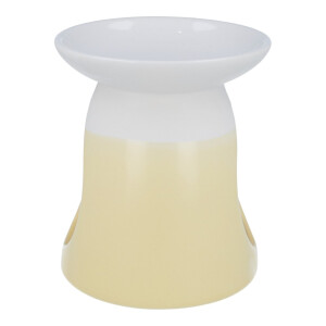 Pastel Hue Yellow