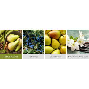 Anjou & Allspice 2-Docht-Kerze Large 623g