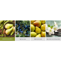 Anjou & Allspice 2-Docht-Kerze Large 623g