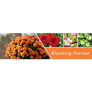 Goose Creek Candle® Blooming Harvest 2-Docht-Kerze 680g