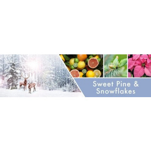 Goose Creek Candle® Sweet Pine & Snowflakes 2-Docht-Kerze 680g