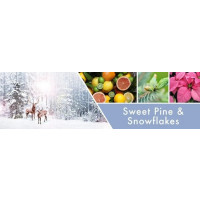 Goose Creek Candle® Sweet Pine & Snowflakes 2-Docht-Kerze 680g