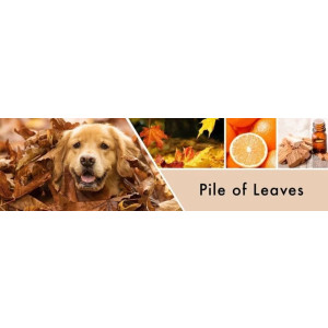 Goose Creek Candle® Pile of Leaves Wachsmelt 59g