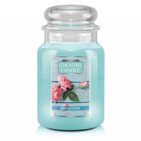 Country Candle™ Salt Mist Rose 2-Docht-Kerze 652g Limited Edition