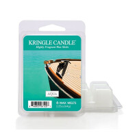 Aqua Wachsmelt 64g