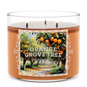Goose Creek Candle® Orange Grove Tree 3-Docht-Kerze 411g