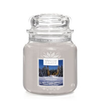 Candlelit Cabin Mittleres Glas 411g