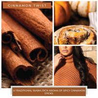 Cinnamon Twist 2-Docht-Kerze 453g