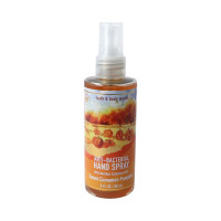 Bath & Body Works® Sweet Cinnamon Pumpkin Handdesinfektions-Spray 88ml