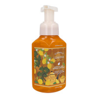 Sunshine & Lemons Schaumseife 259ml