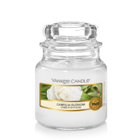 Yankee Candle® Camellia Blossom Kleines Glas 104g