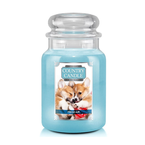 Country Candle&trade; Fresh Air Puppy 2-Docht-Kerze 652g B-WARE