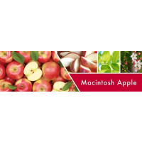 Goose Creek Candle® Macintosh Apple flüssige Schaum-Handseife 270ml