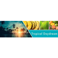 Goose Creek Candle® Tropical Daydream flüssige Schaum-Handseife 270ml