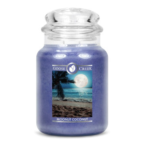 Goose Creek Candle® Moonlit Coconut 2-Docht-Kerze 680g